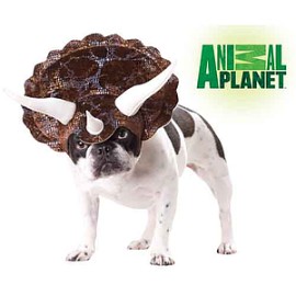 Disfraz para perro de triceratops