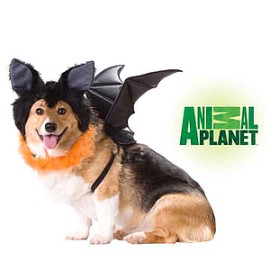 Disfraz para perro de murciélago