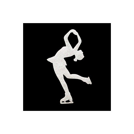 Bordado skater