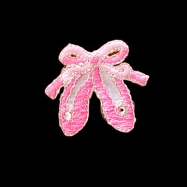 Bordado ballet shoes