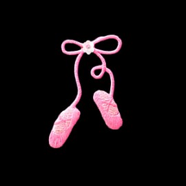 Bordado ballet shoes