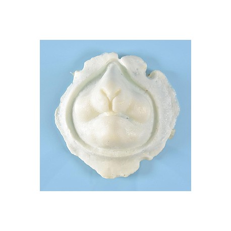 Prostético de Conejo Artist