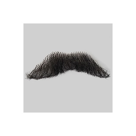 Bigote estilo 12