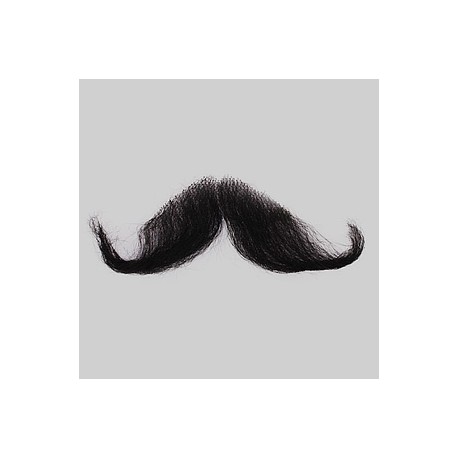 Bigote de Zapata