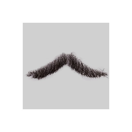 Bigote de Tin-Tan