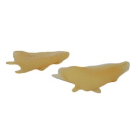 2530 Prostético de ojera