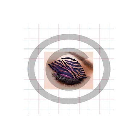 Esténcil Zebra Eye Shadow