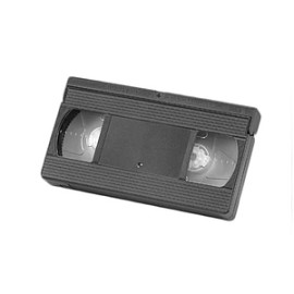 Creative creature painting