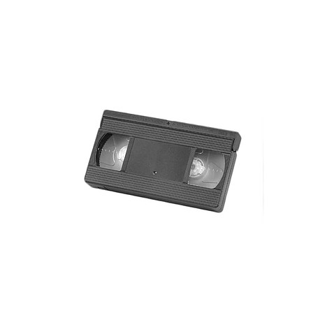 Creative creature painting