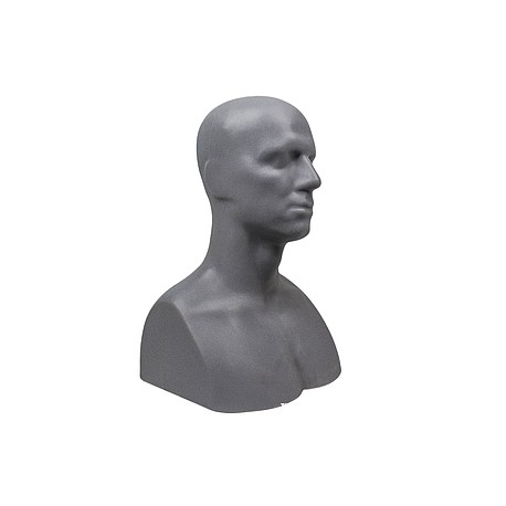 Medio Busto para modelado