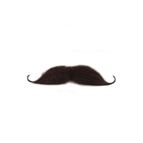 Bigote 8